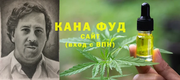 гидра Кинешма