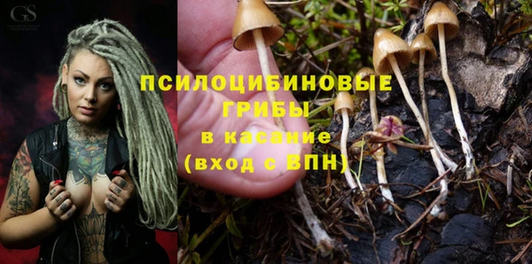 PSILOCYBIN Киренск