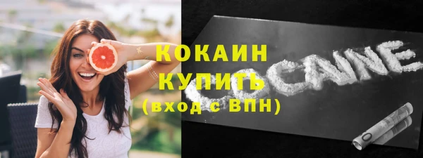 стаф Карталы