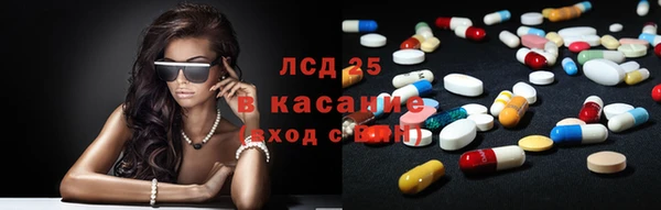 PSILOCYBIN Киренск