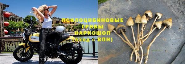 PSILOCYBIN Киренск