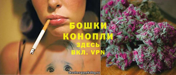 гидра Кинешма