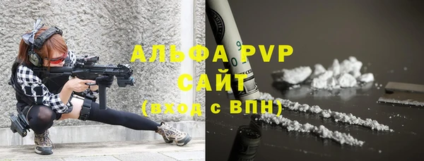 PSILOCYBIN Киренск