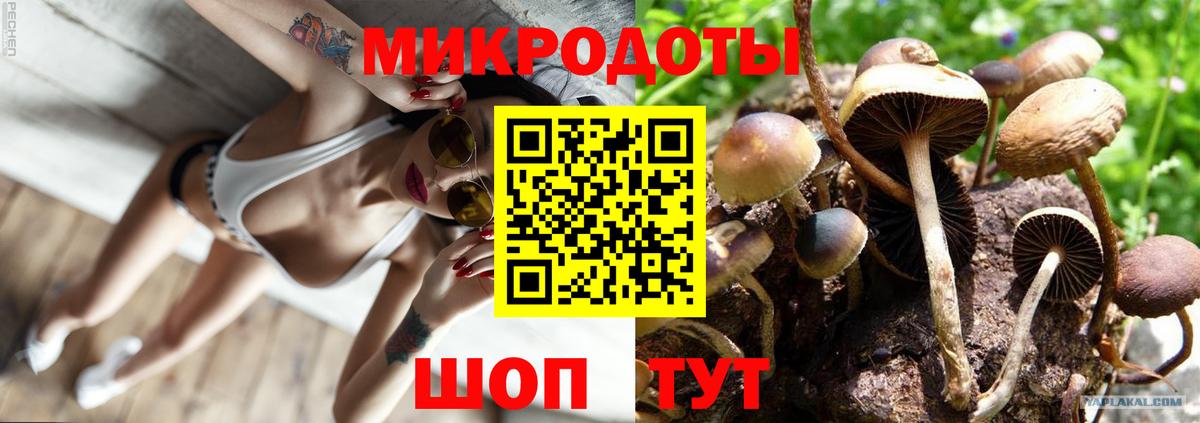 Псилоцибиновые грибы мицелий Михайловск